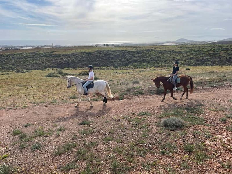 1 hour relaxing horse riding tour in Gran Canaria - Key highlights you will care about