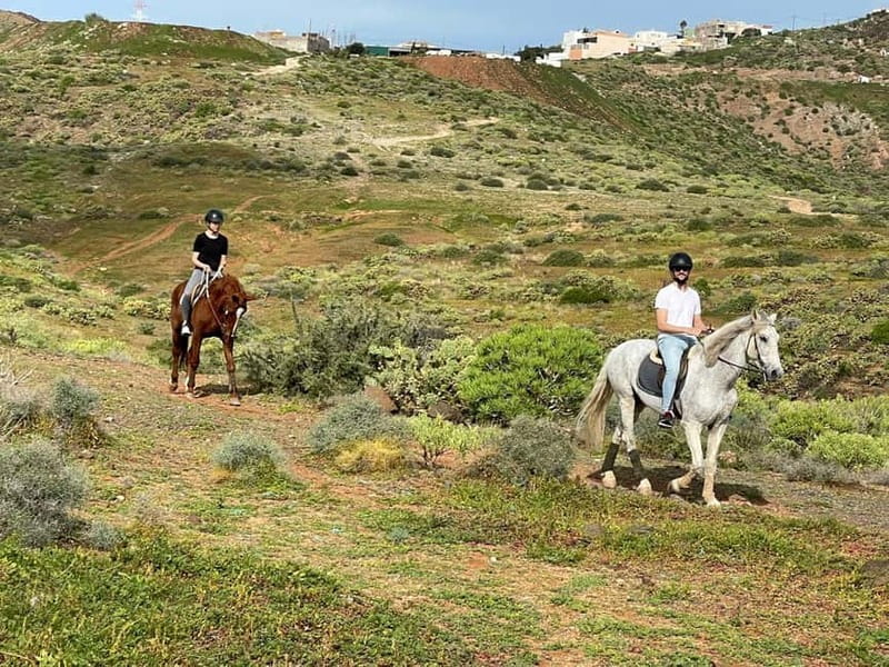 1 hour relaxing horse riding tour in Gran Canaria - Practical packing tips so you can focus on the ride