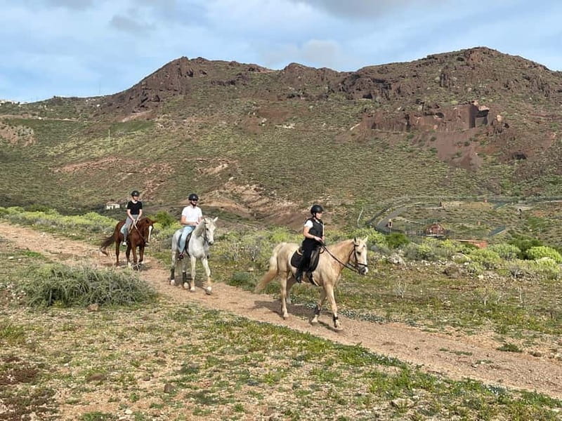 1 hour relaxing horse riding tour in Gran Canaria - From the barn to the countryside: what the 1.5 hours really feels like