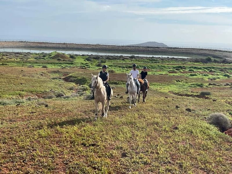1 hour relaxing horse riding tour in Gran Canaria - The real win: calm horses and the East Coast and mountain views
