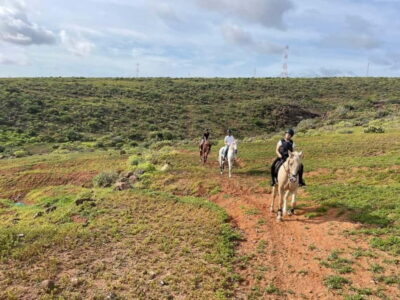 1 hour relaxing horse riding tour in Gran Canaria