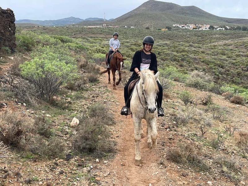 1 hour relaxing horse riding tour in Gran Canaria - What happens during the countryside ride (and why it matters for first-timers)