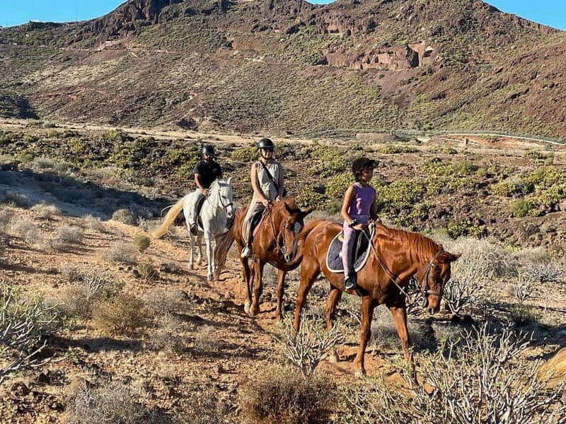 1 hour relaxing horse riding tour in Gran Canaria - Guides and group vibe: clear help, friendly energy, and language comfort