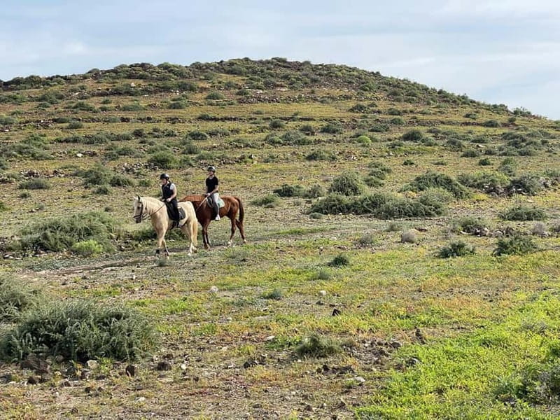 1 hour relaxing horse riding tour in Gran Canaria - Price and value: why $41 can make sense here