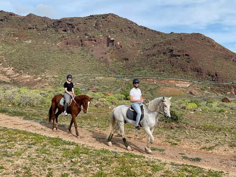 1 hour relaxing horse riding tour in Gran Canaria - Who should book this ride, and who should skip it