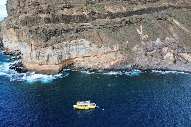 1h Boat Trip + 2h Dockside Local Wine & Food Tasting - Group size, language, and why Rubén’s role matters
