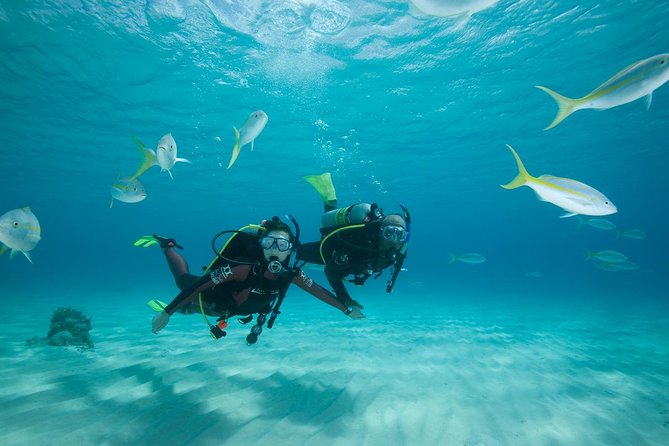 2 Day PADI Scuba Diver Course in Puerto Rico, Gran Canaria - Two Days in Gran Canaria: Skills First, Then Real Water
