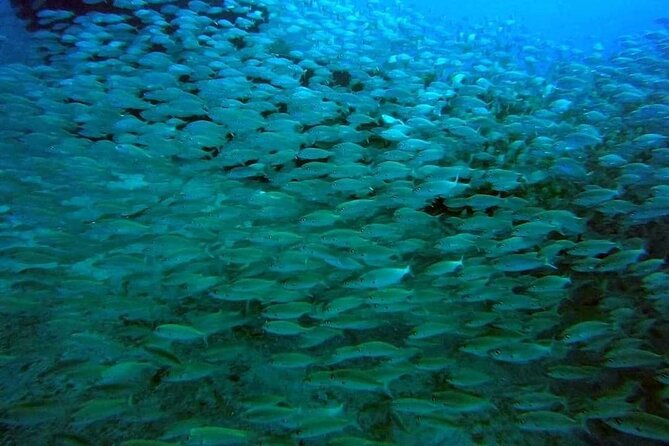2-Hour Afternoon Snorkeling Experience in Gran Canaria by Boat - A small-group guide approach you can feel during the briefing