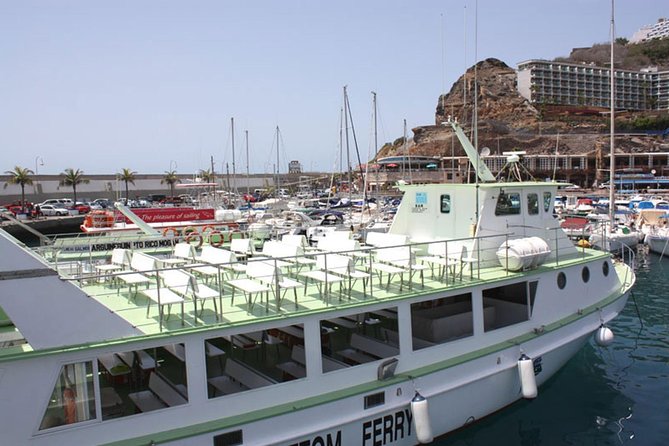 2-Hour Dolphin and Whale Watching in Gran Canaria - Guides on board: what makes the wildlife spotting feel worth it