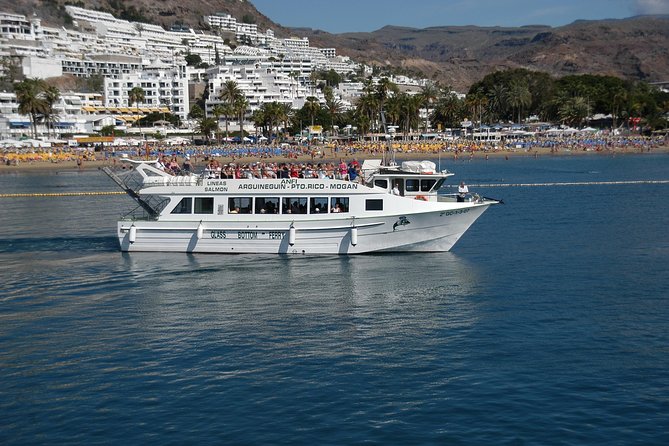 2-Hour Dolphin and Whale Watching in Gran Canaria - Who should book this dolphin and whale watching trip from Puerto Rico?