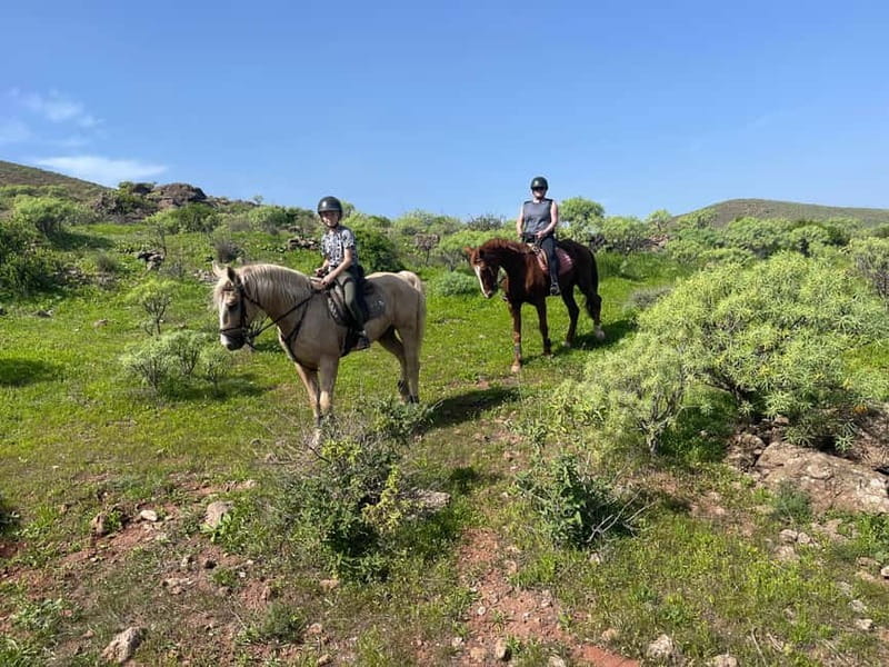 2 hours Green Mountains Horse Riding Tour - Key things I’d highlight before you go