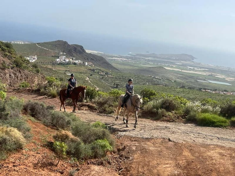 2 hours Green Mountains Horse Riding Tour - FAQ