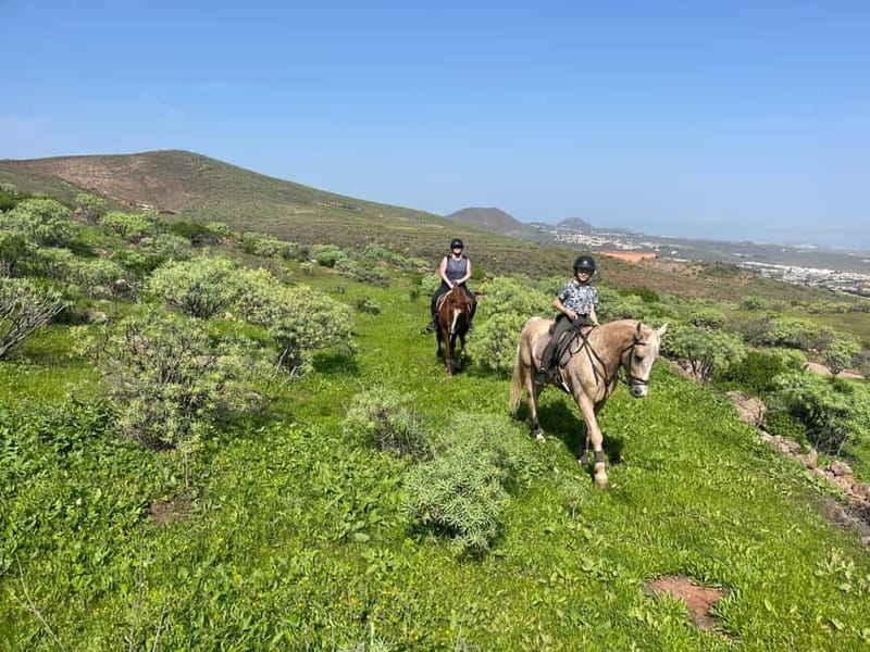 2 hours Green Mountains Horse Riding Tour - Horse Riding Canaria barn setup, gear and the quick horse coaching you need