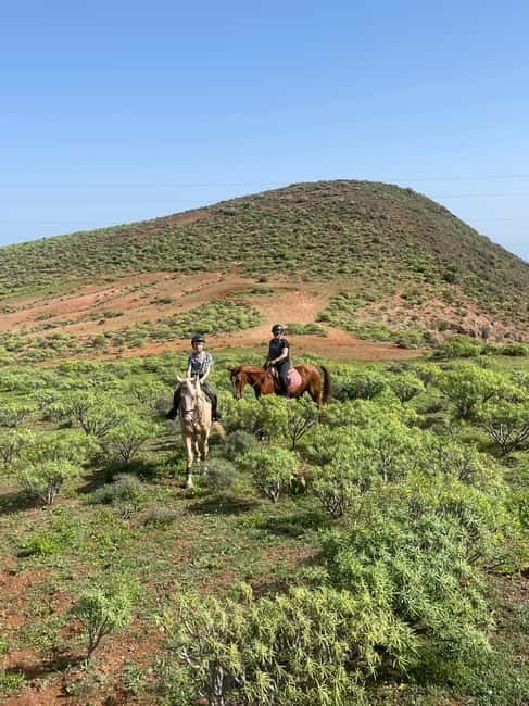 2 hours Green Mountains Horse Riding Tour - The 2-hour riding plan, what you do uphill, downhill, and at your comfort level