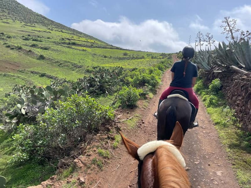 2 hours Green Mountains Horse Riding Tour - Terrain and animal handling, where safety is great and where you should stay alert