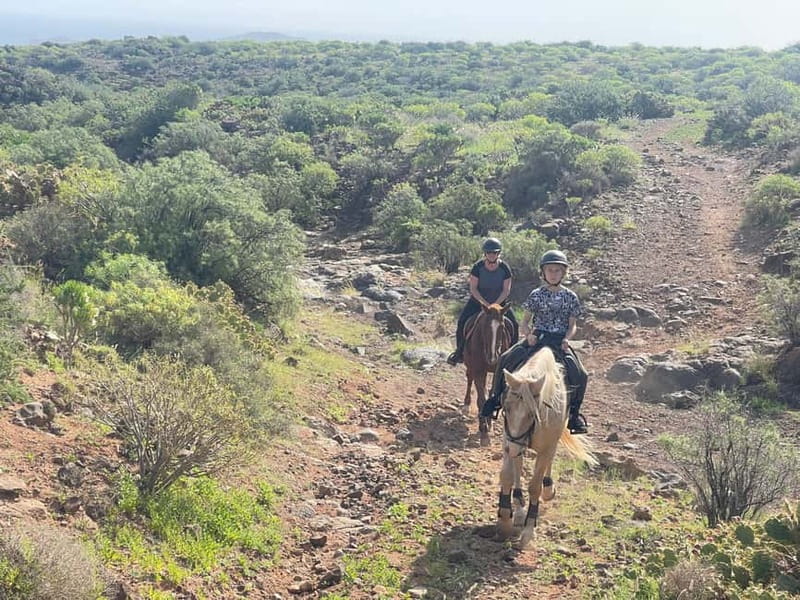 2 hours Green Mountains Horse Riding Tour - Horses, equipment, and the “what you get for your money” reality