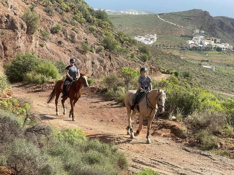 2 hours Green Mountains Horse Riding Tour - Pricing, group size, and why the small limit matters