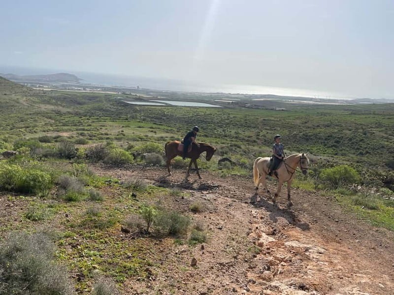 2 hours Green Mountains Horse Riding Tour - Who should book this and who should skip it