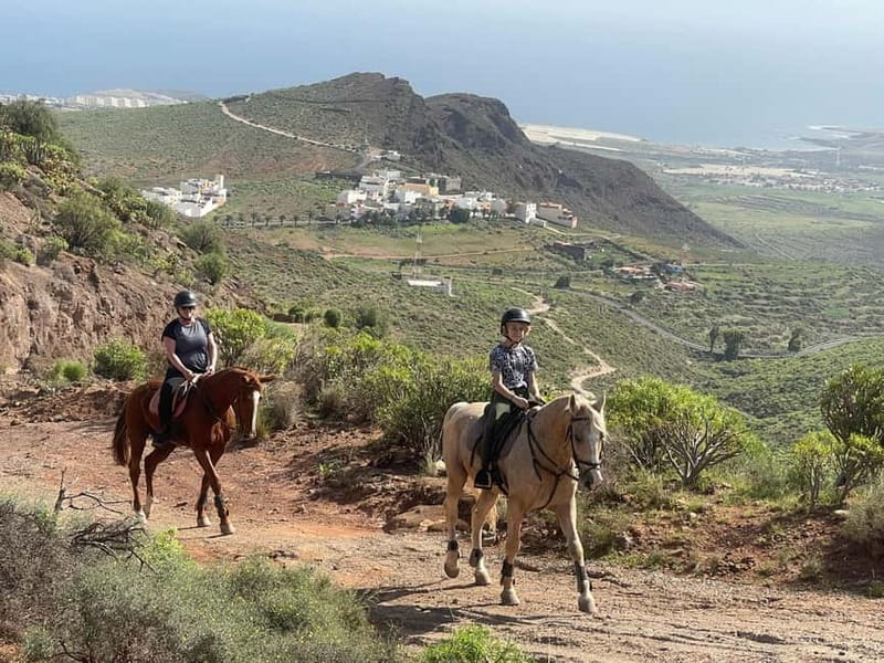 2 hours Green Mountains Horse Riding Tour - Should you book the 2 hours Green Mountains Horse Riding Tour?