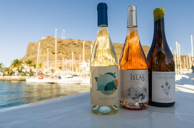 2h Dockside Canarian Local Wine & Food Tasting - Pairings That Feel Like Real Canarian Food, Not Just Snacks