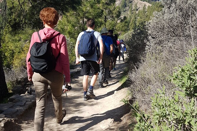 3-Hour Hiking Experience in Roque Nublo - The descent plan: picnic first, then down another path