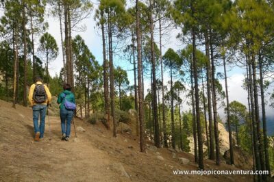 3-Hour Hiking Experience in Roque Nublo