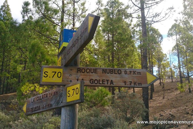 3-Hour Hiking Experience in Roque Nublo - Road-trip stops across Gran Canaria: Degollada, Fataga, and more