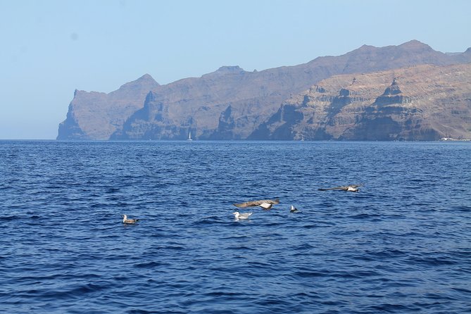 3h Boat Trip + Snorkeling in Puerto de Mogan - Photos and drone footage: great value, but weather decides the drone