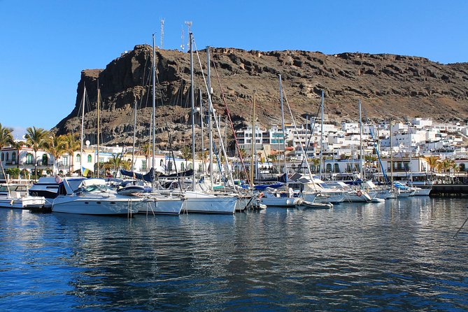 3h Boat Trip + Snorkeling in Puerto de Mogan - Price and value for $71.35: what you’re really paying for