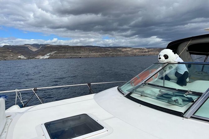 4 Hour Boat Tour with Snorkeling from Puerto Rico and Mogan - Watersports you might add, plus the jet ski rule
