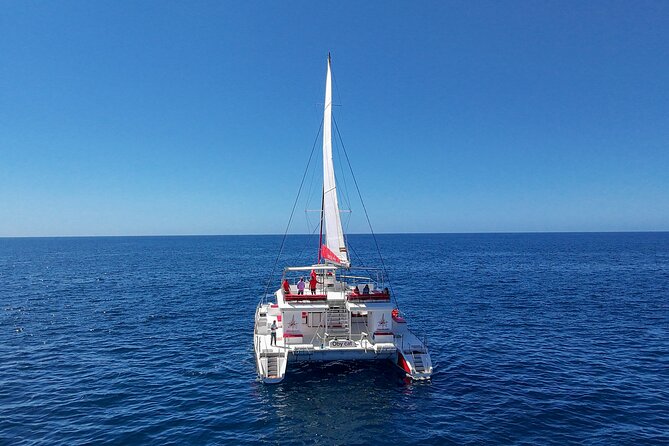 4-Hour Trip on Luxurious Catamaran from Puerto Rico - Lunch on the water: paella plus mojo potatoes, salad, and fruit