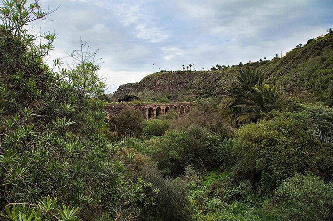 7-hour Hop on Hop off Tour of Historic Gran Canaria - Vegueta and Calle Mayor de Triana: where Las Palmas feels historical at street level