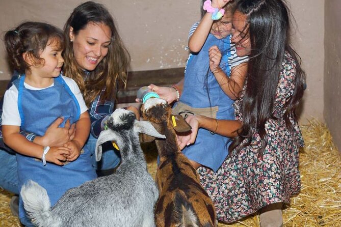 A day at the farm - Key things to know before you go