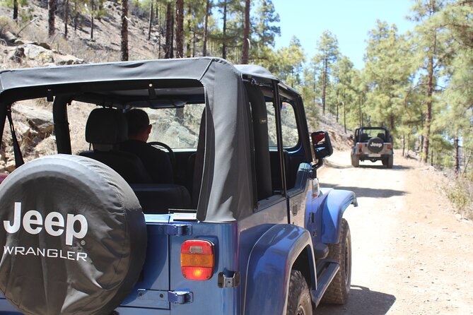 Adventure Driving Jeep Tour in Gran Canaria - Key things to know before you go