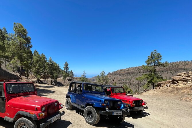 Adventure Driving Jeep Tour in Gran Canaria - Group size, pacing, and why 5 hours is a sweet spot