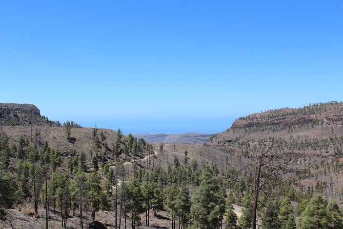 Adventure Driving Jeep Tour in Gran Canaria - Price in perspective: what $323.91 per group buys