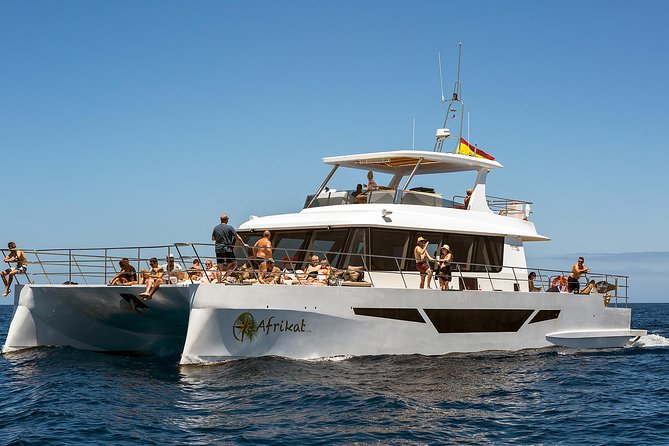 Afrikat Afternoon Cruise - Inside the Afrikat catamaran: comfort, crew energy, and included food