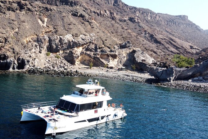 Afrikat Morning Cruise - Key things I’d zero in on