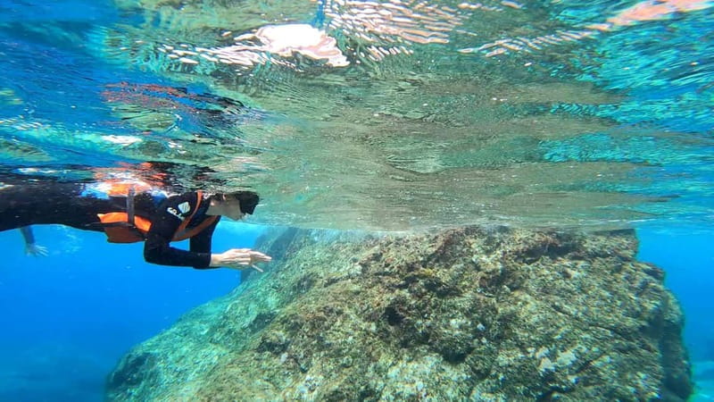 Agaete: Gran Canaria Coasteering. Marine Ferrata and Zipline - Snorkeling and recovery snacks: finishing with the calm part