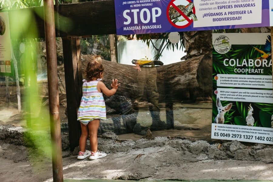 Agüimes: Cocodrilo Park Zoo Entry Ticket - Should you book this ticket to Cocodrilo Park?