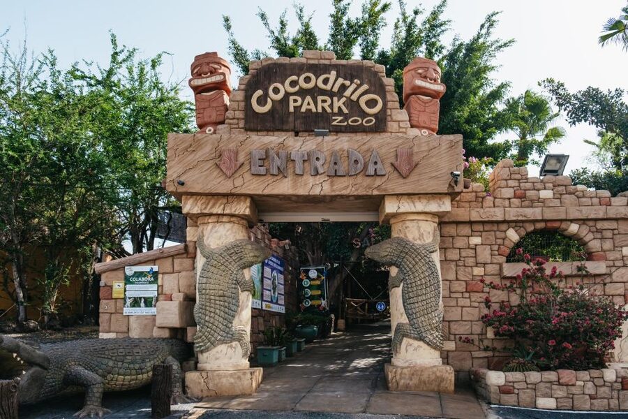 Agüimes: Cocodrilo Park Zoo Entry Ticket - Accessibility and rules that shape the visit