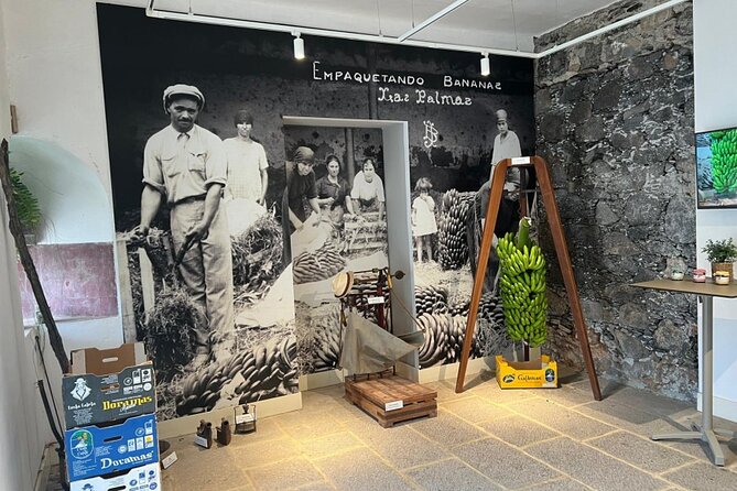 Banana Museum, Rum Distillery & Winery with Tasting: Premium tour - Agaete lunch stop: use the hour well