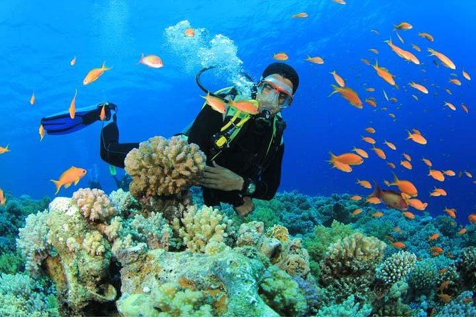Beginners Scuba Diving Experience in Gran Canaria - Key Things That Make This Experience Worth Your Time