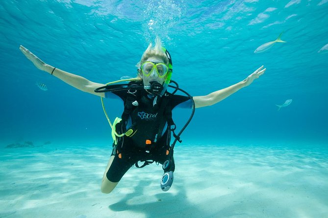 Beginners Scuba Diving Experience in Gran Canaria - From Paperwork to Gear at Blue Water