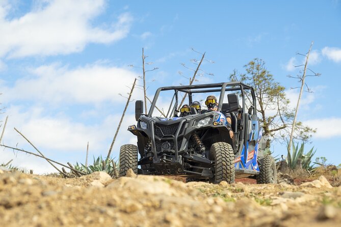 Buggy tour at Anfi beach - What the ride is like: off-road fun near the valley