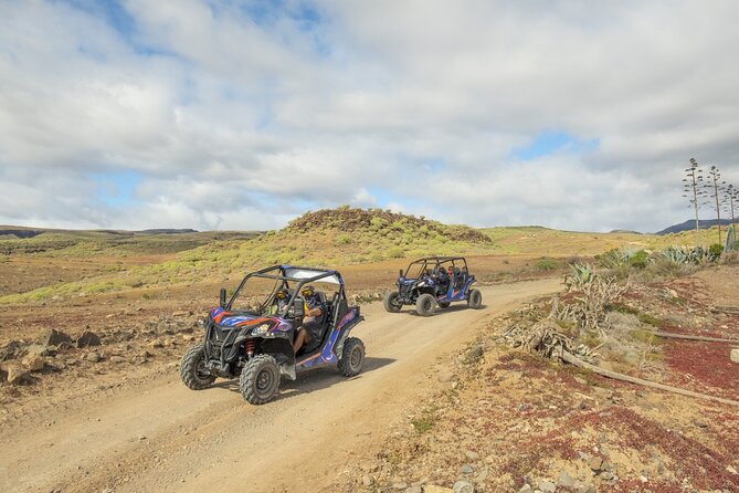Buggy tour at Anfi beach - Photo stops and the role of the guide