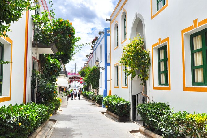 Bus to the local market of Puerto de Mogan - The Air-Conditioned Coach Ride Experience