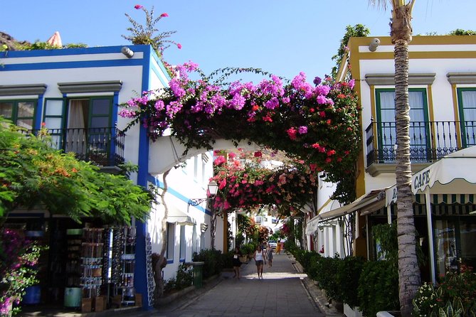 Bus to the local market of Puerto de Mogan - Stops, Timing, and How to Pace Your Day
