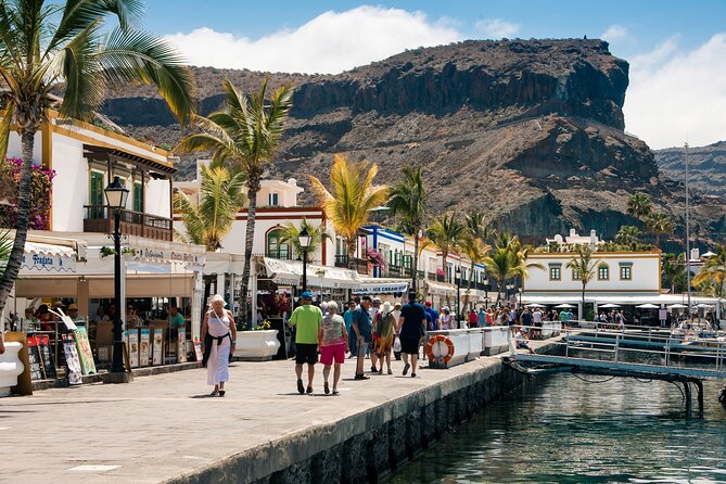 Bus to the local market of Puerto de Mogan - Lunch, Drinks, and the Toilet Reality Check