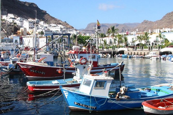 Bus to the local market of Puerto de Mogan - Who This Tour Is Best For (and Who Might Skip It)
